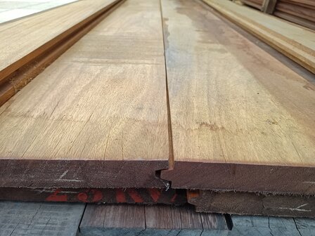 HARDHOUT 4CM DAMWAND 300CM